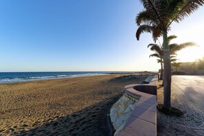 A beach with a stone wall and palm trees. - 1.6 Amapola Moon - beachfront comfort. (Maspalomas)