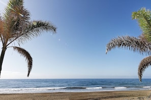 A beach with palm trees and a clear sky. - 1.8 Amapola Blue Sea: recently refurbished, in front of the (Maspalomas)