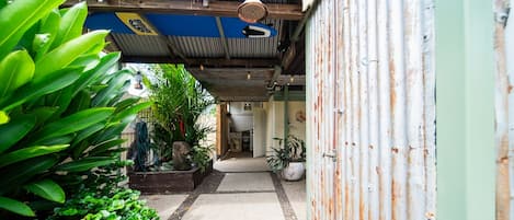 Un sendero estrecho que conduce a un edificio rústico con fachada de metal corrugado, rodeado de abundante vegetación y un pequeño jardín.