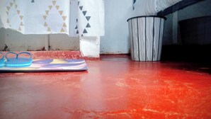 Een rode vloer met een prullenbak en een paar slippers op een mat.