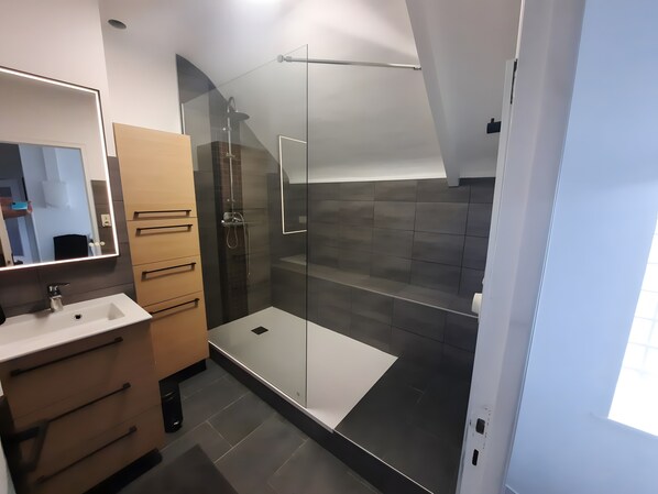 A modern bathroom with a glass shower enclosure, a white sink, and a mirror with built-in lighting.