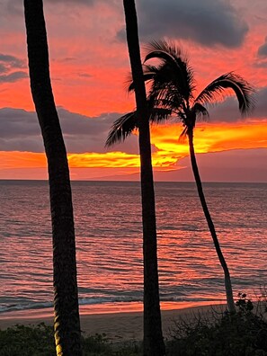 Ein Sonnenuntergang über dem Meer mit palmenartigen Silhouetten am Himmel.
