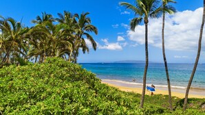 A beach with palm trees, clear blue water, and a sandy shore.