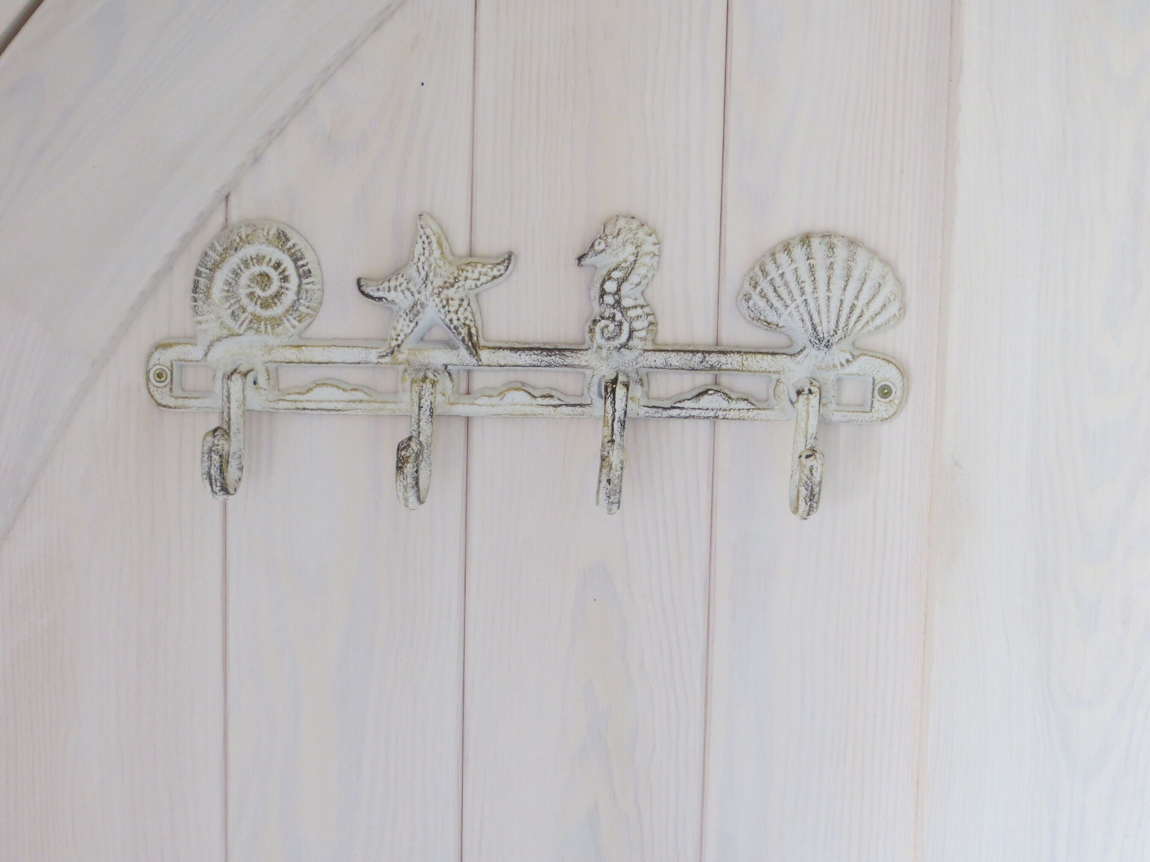 Un adorno de pared con una estrella de mar, una concha marina y un caballito de mar.