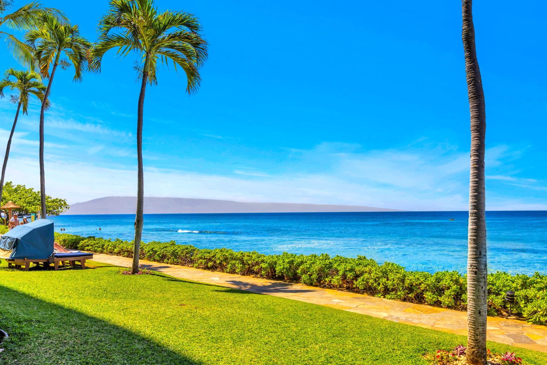 Blick auf einen Strand mit Palmen, blauem Himmel und einem Weg zum Meer.