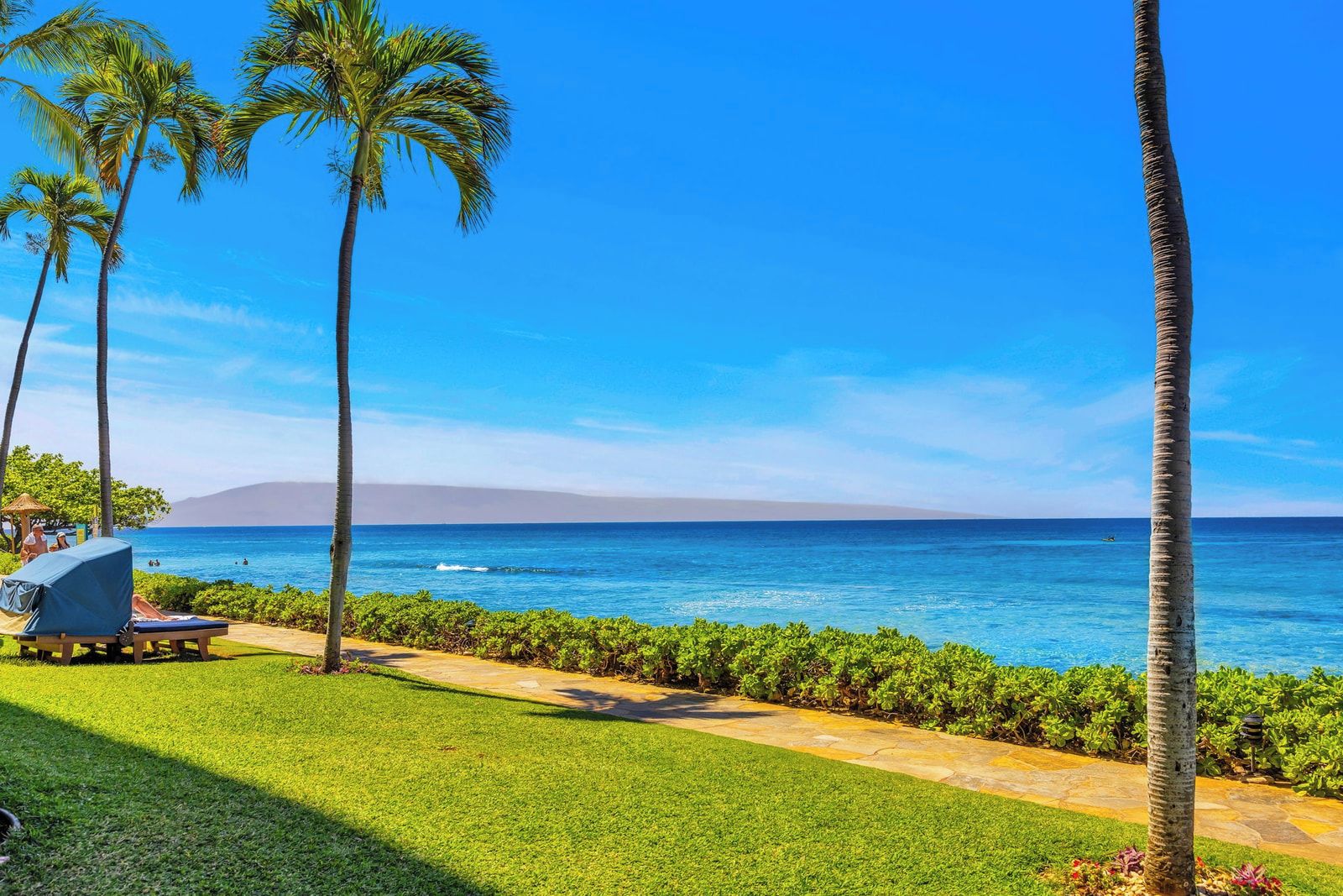 A tropical resort with palm trees, a clear blue sky, and a view of the ocean.