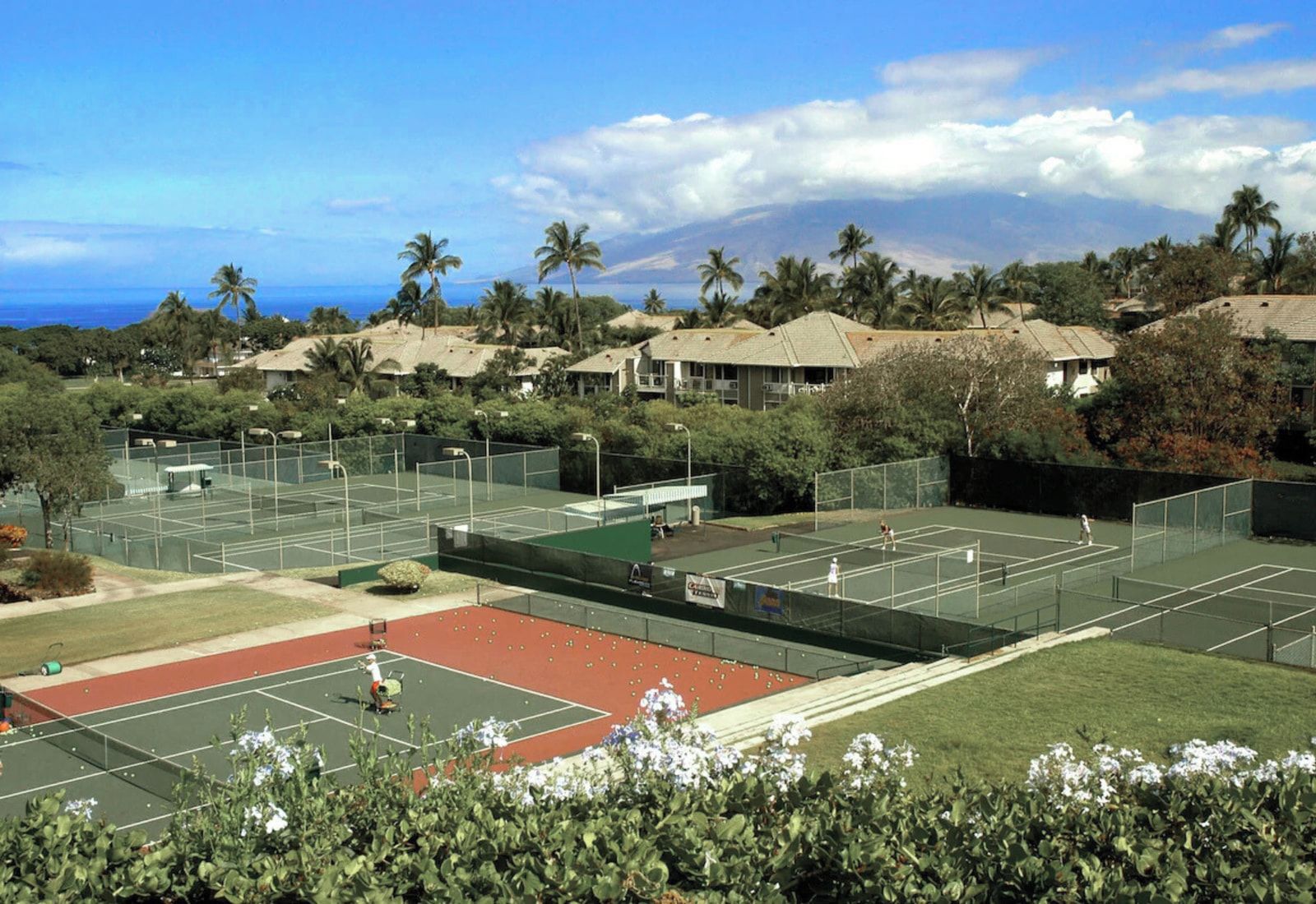Ein Tennisplatzkomplex mit mehreren Plätzen, umgeben von Grünflächen und Wohnhäusern.