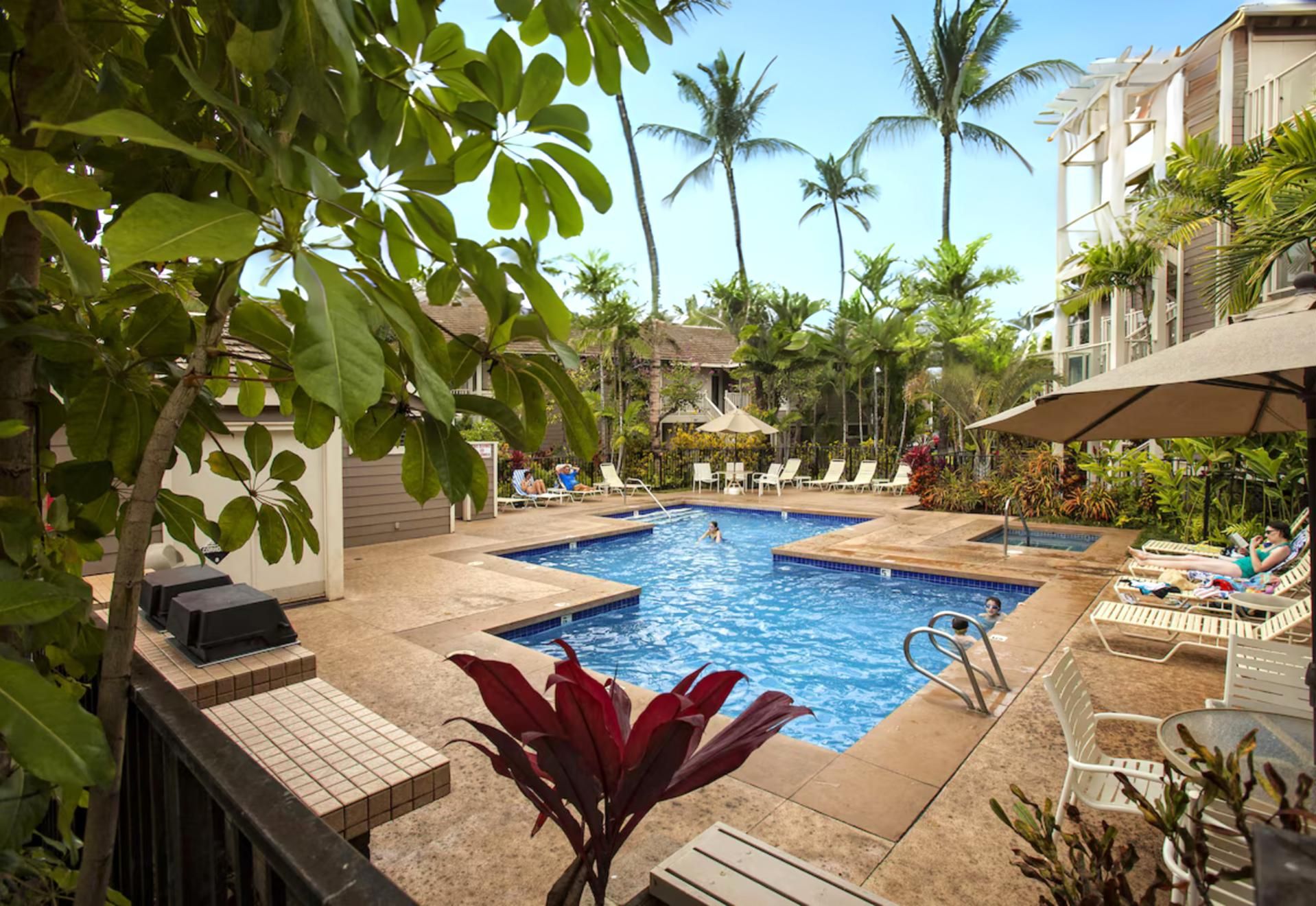A pool area with lounge chairs and a small pool, surrounded by palm trees and greenery.