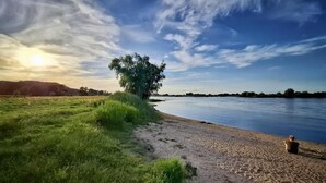 A riverbank with a tree and a person sitting on the sand.