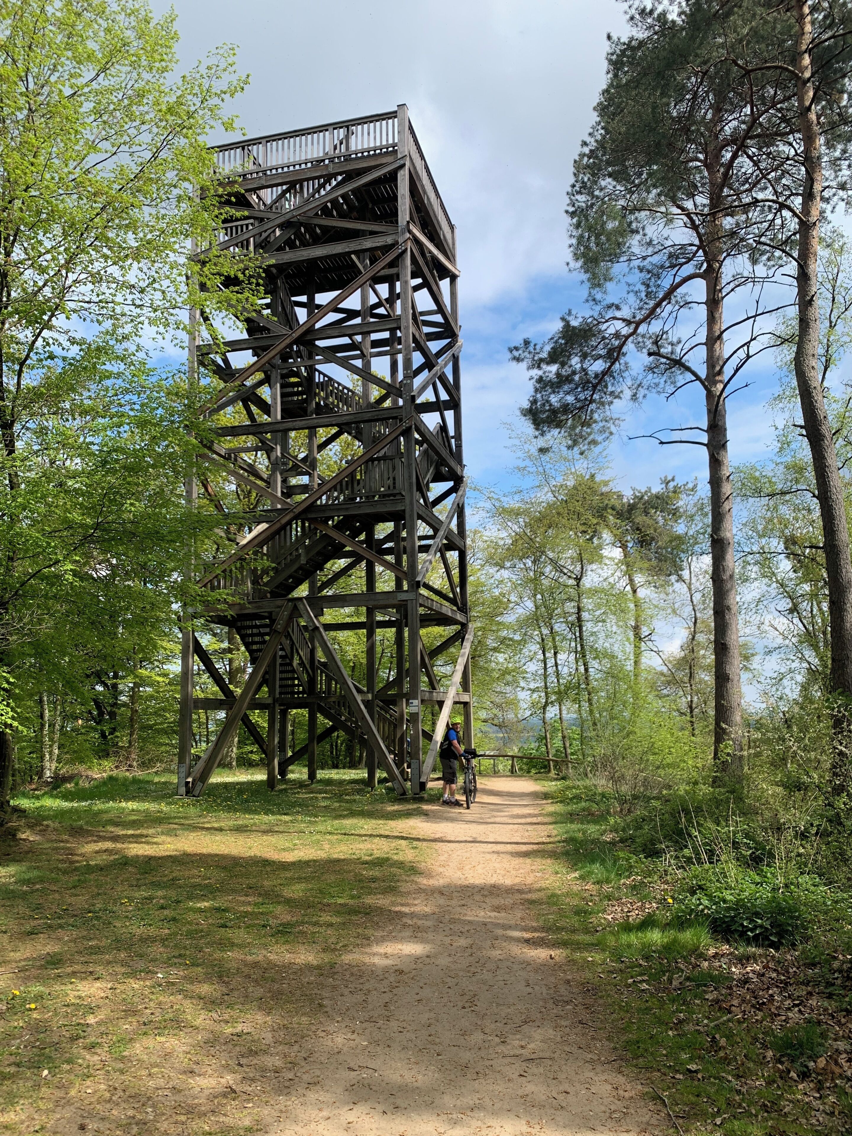 Una torre de madera para observar, con una escalera de metal, rodeada de árboles y un sendero de tierra.