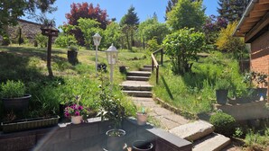 A garden with a stone staircase, potted plants, and a wooden fence.