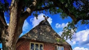 A red brick house with a thatched roof, surrounded by trees and grass.