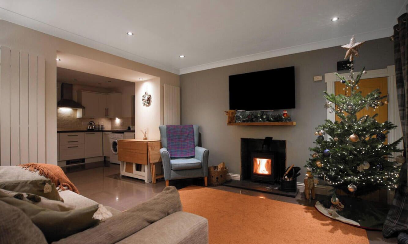 TV, fireplace