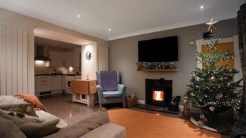 TV, fireplace