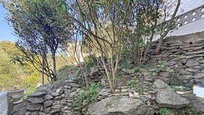 A stone wall with vegetation, a clear sky, and a building in the background. - BONREPOS 2 Roses / Roses - INTERimmo (Rosas / Roses)