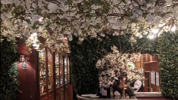 Een restaurant met een bar, houten meubels en een groene wand met beplanting.