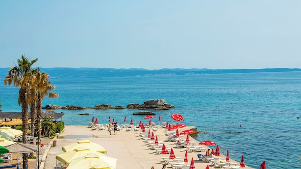 Ein Strand mit mehreren Reihen Sonnenliegen und Sonnenschirmen, eine Palme und Blick aufs Meer.