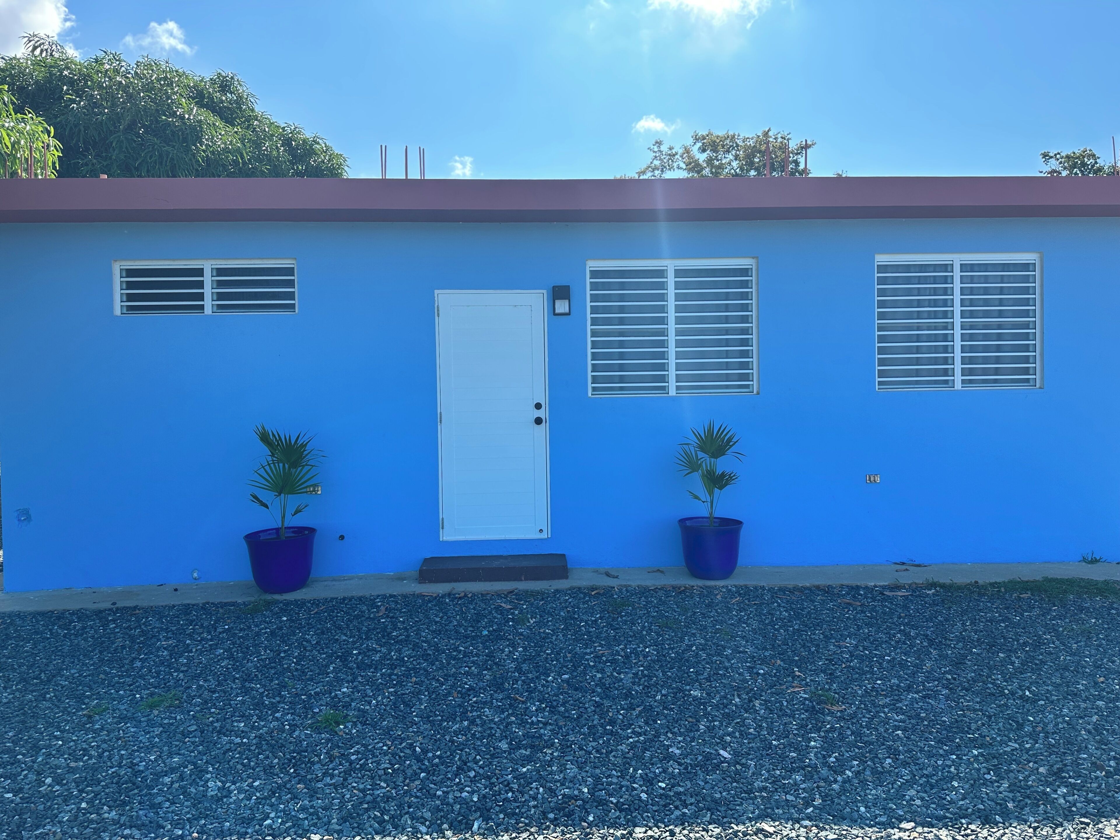 A blue building with a white door, two windows with shutters, and two potted plants.