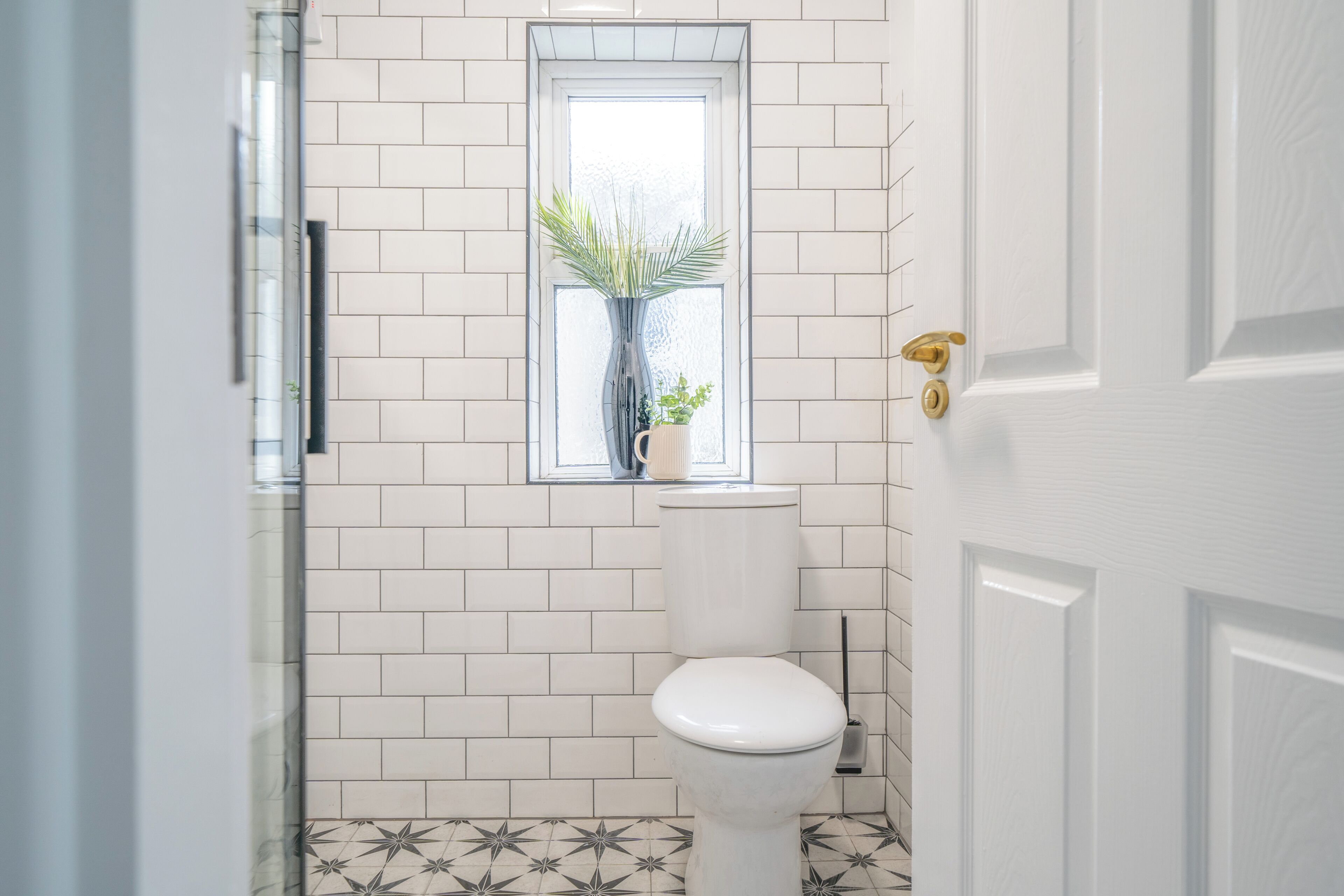 Shower, towels, toilet paper