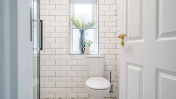 Shower, towels, toilet paper