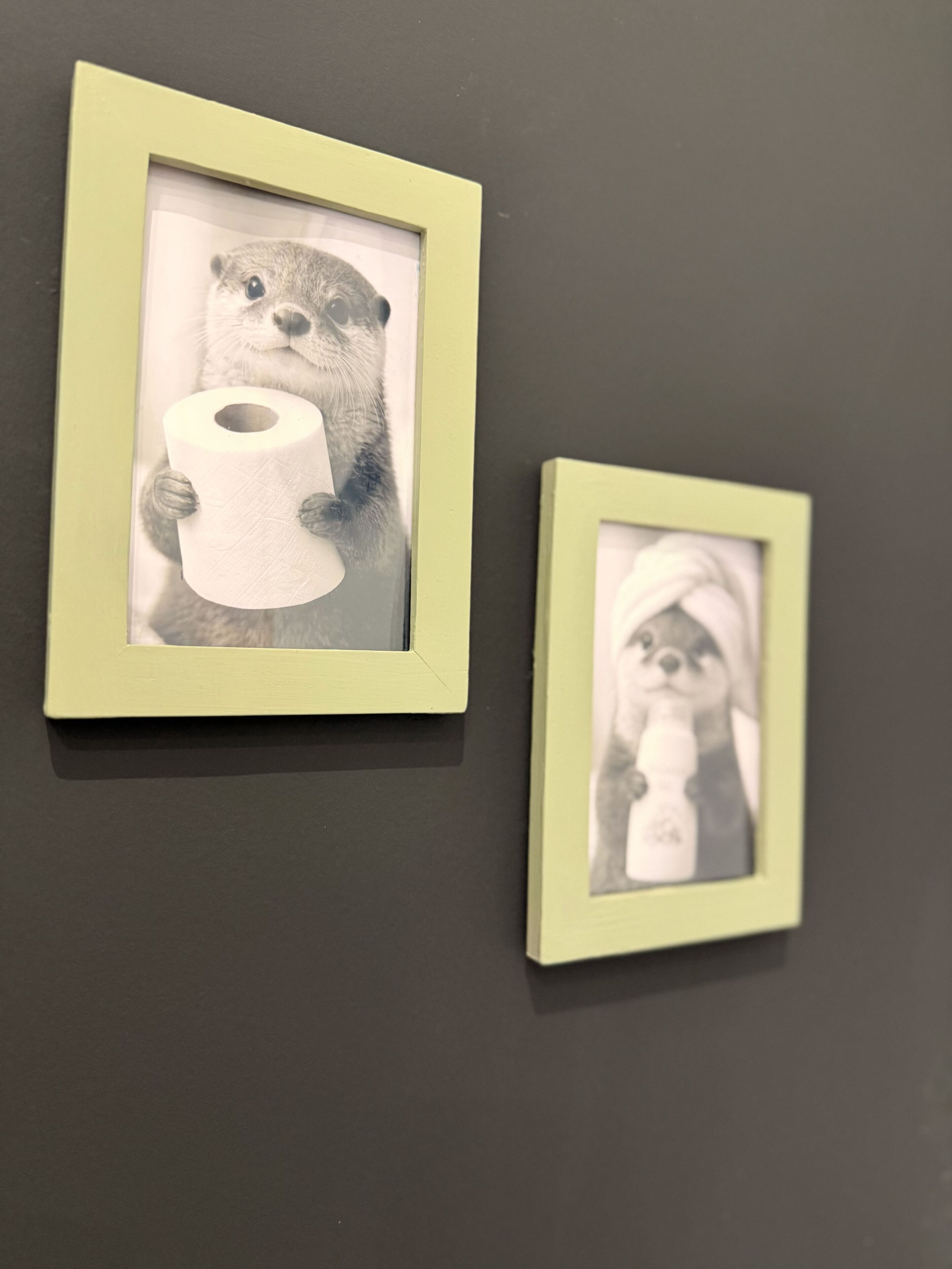 Two framed pictures on a wall.