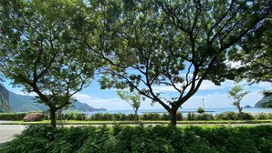 A paved walkway with a view of a coastal landscape, including a tree-lined area and a body of water. - Seaside Garden Nishiizu 1  (Nishiizu)