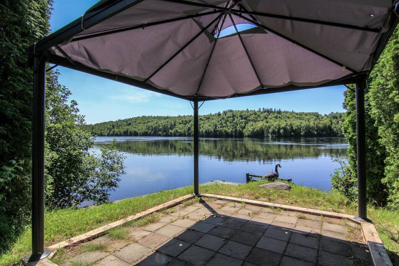 Área da propriedade