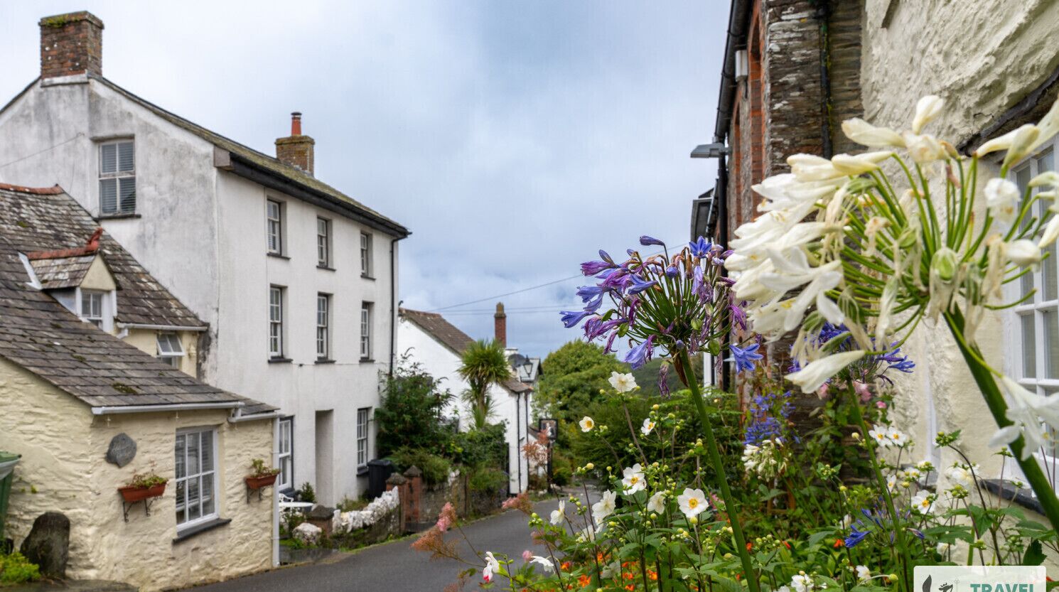 Une rue étroite bordée de bâtiments blancs traditionnels, un panneau avec un symbole de voyage, et une variété de fleurs au premier plan.