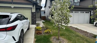 Spacious 2-bedroom Basement Suite Near West Edmonton Mall.