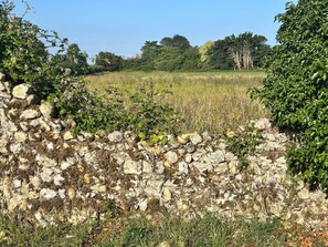 Property grounds - Nutmeg Cottage - with free parking (Norfolk)