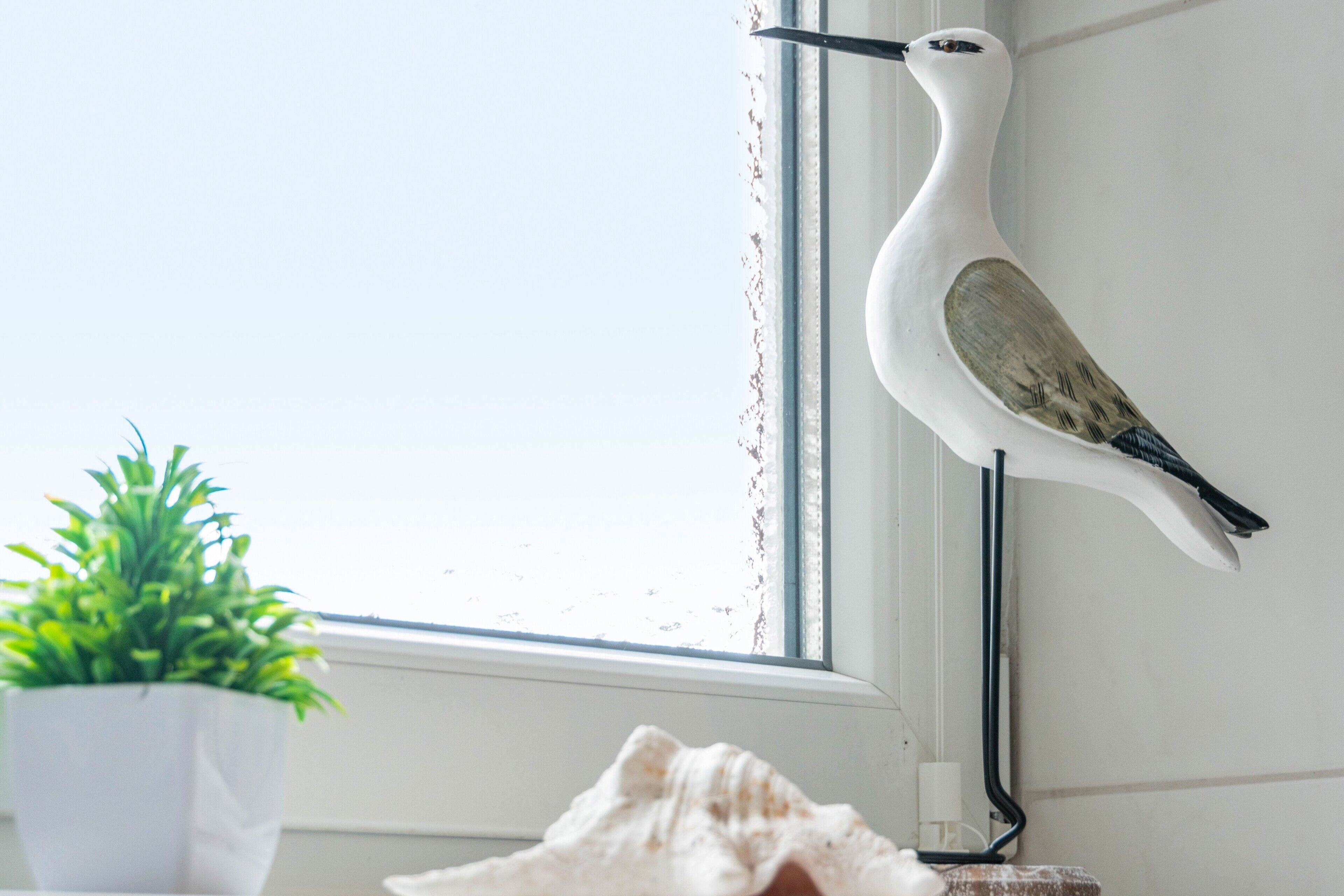 A bird perched on a window ledge, a potted plant, and a seashell on a surface.