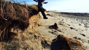 Uma pessoa correndo em uma praia arenosa, com grama à esquerda.