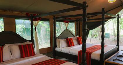 Serenity Mara Legends Camp