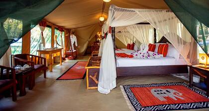 Serenity Mara Legends Camp