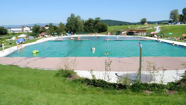 Una piscina rodeada de césped y árboles, con gente nadando y relajándose.