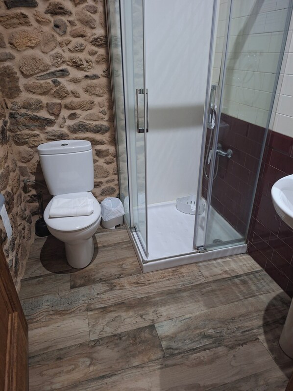 A bathroom with a stone wall, a toilet, a glass shower enclosure, and a sink. - La Pallota de San Cristobal (Palas de Rei)