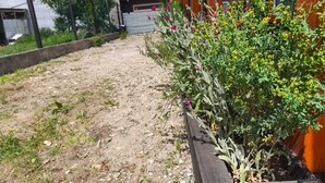 Un jardín con cerca de madera, una estructura de madera y vistas a la montaña.