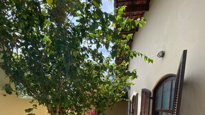 Un vialetto stretto delimitato da un albero e un edificio con finestre ad arco.