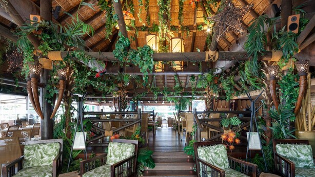 Un ristorante con una scala in legno, sedie rivestite in verde e piante pensili.