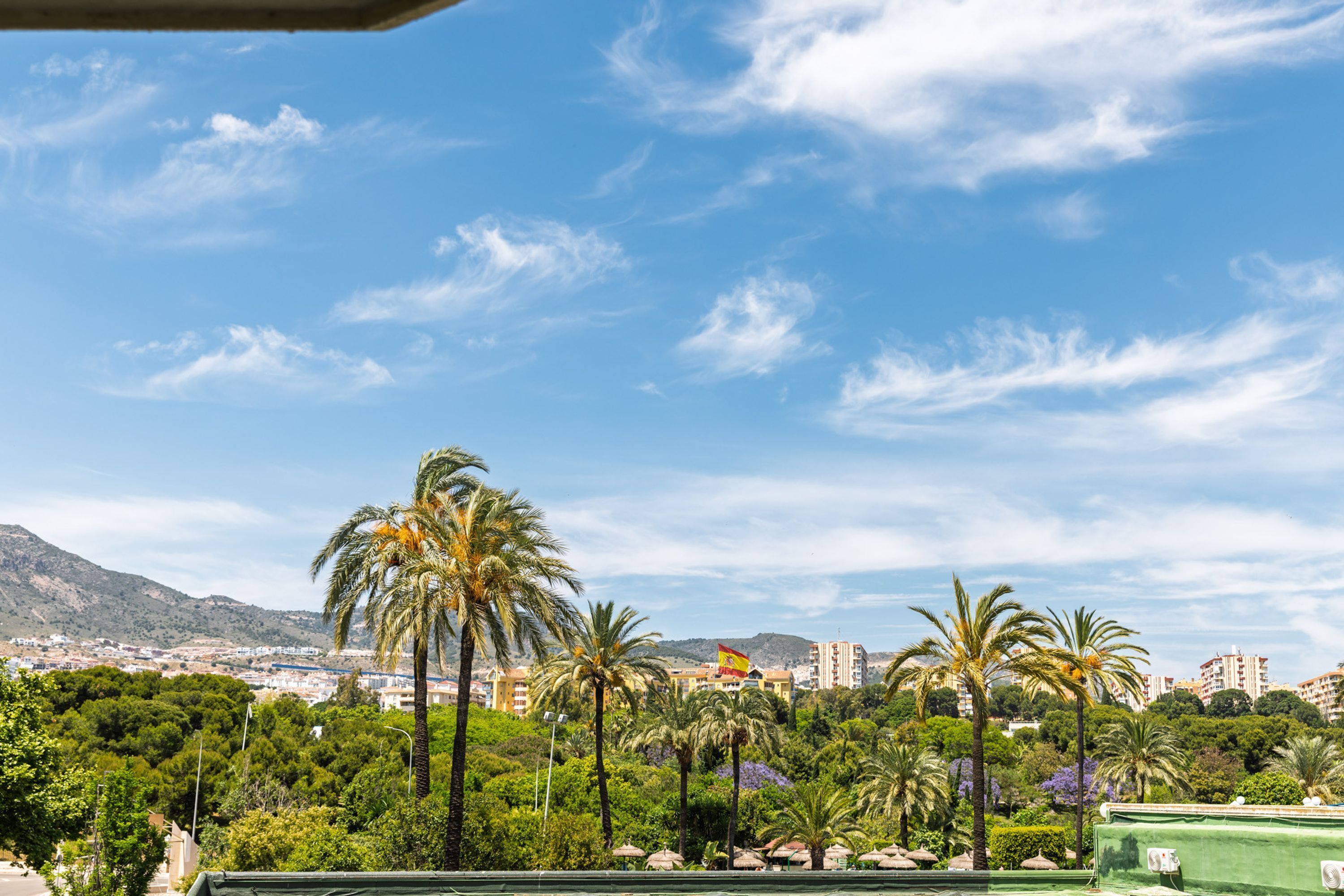 A view of a cityscape with palm trees and buildings in the background.