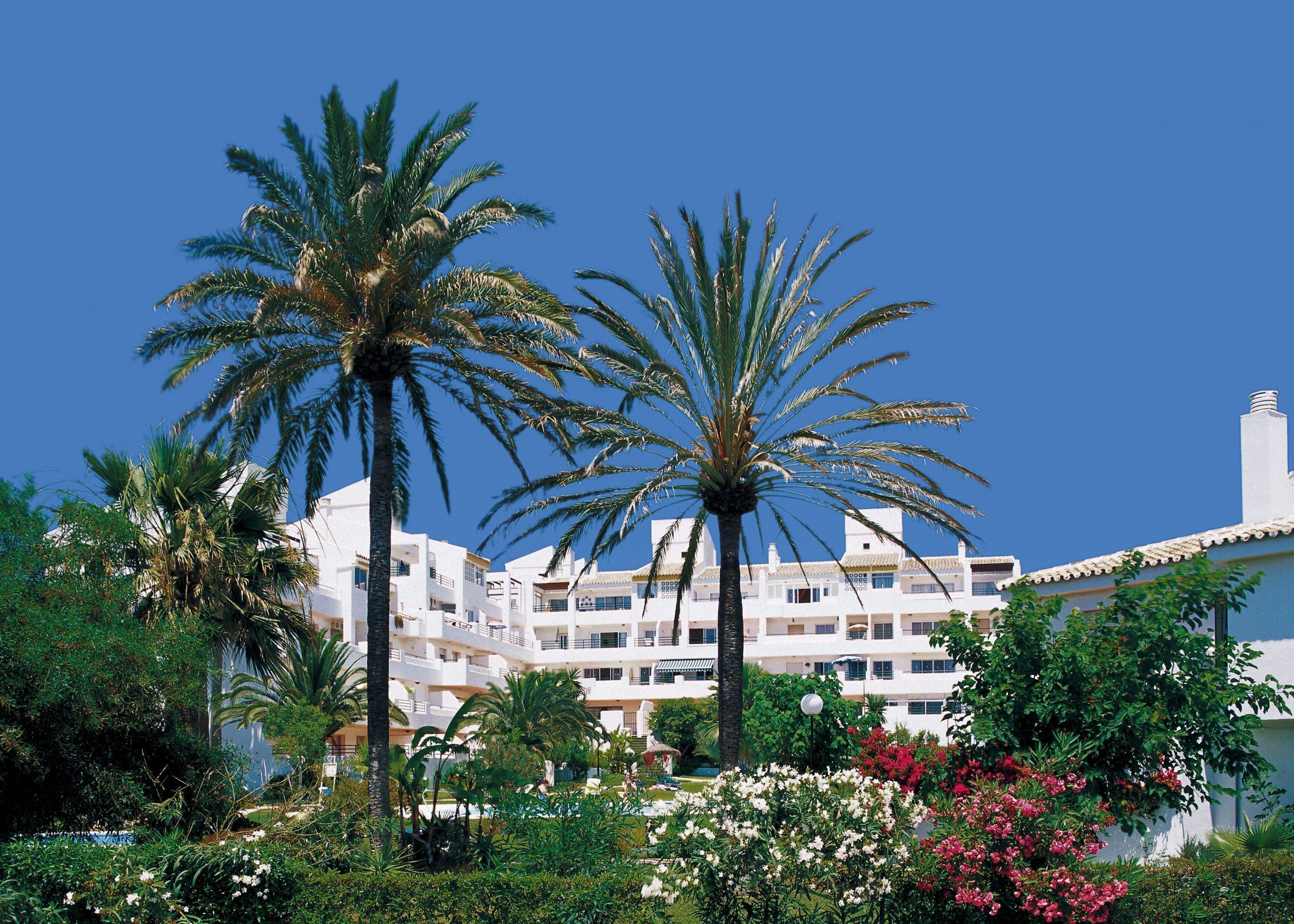A multi-story hotel with a white facade, surrounded by palm trees and flowering plants.