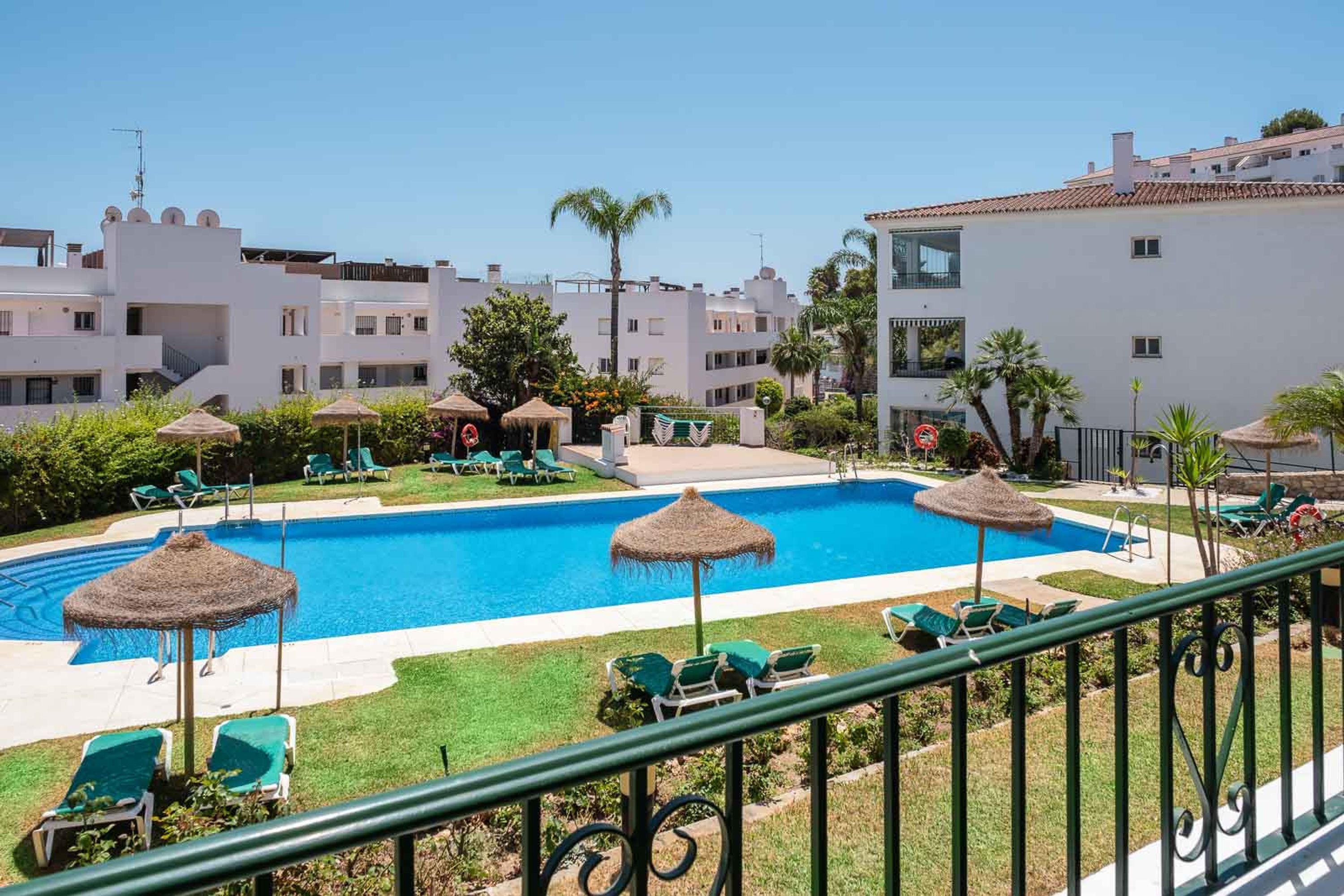 Piscina con sillones de descanso y sombrillas, rodeada de follaje y edificios.