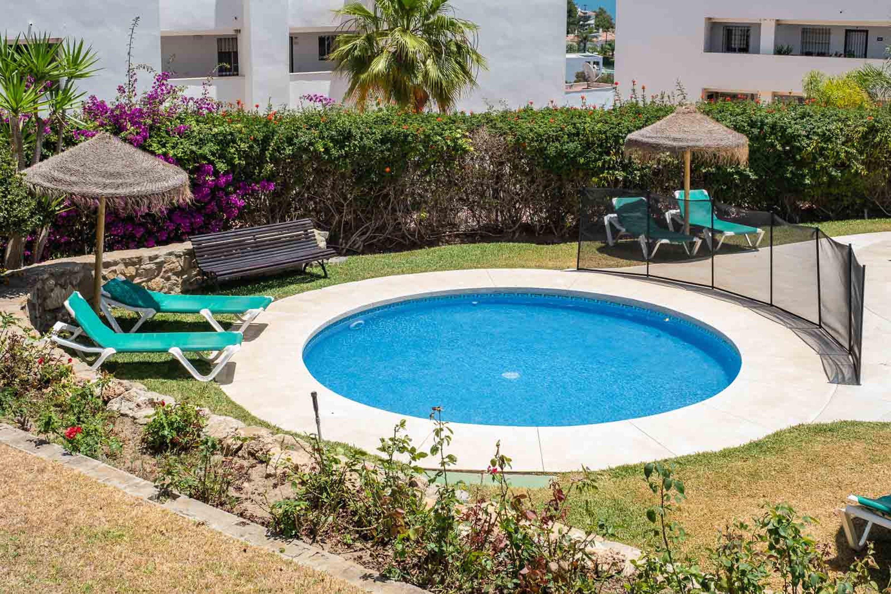 Une piscine circulaire entourée de chaises longues et de parasols, le tout bordé de verdure, avec un bâtiment visible au loin.