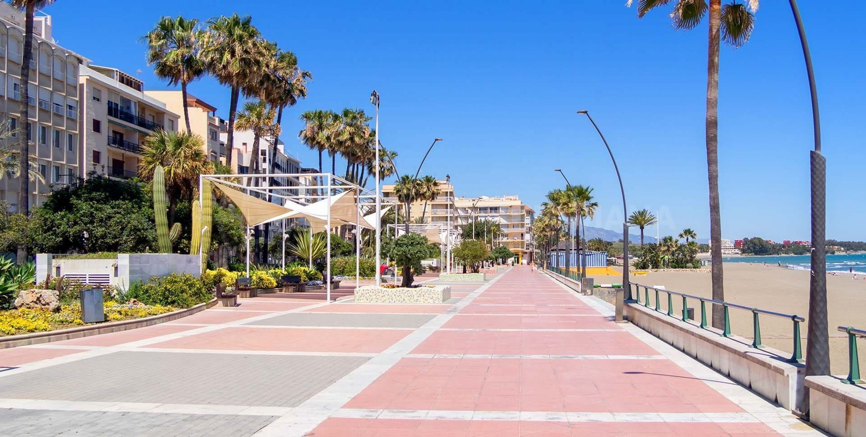 A coastal promenade with a paved walkway, palm trees, and buildings in the background.