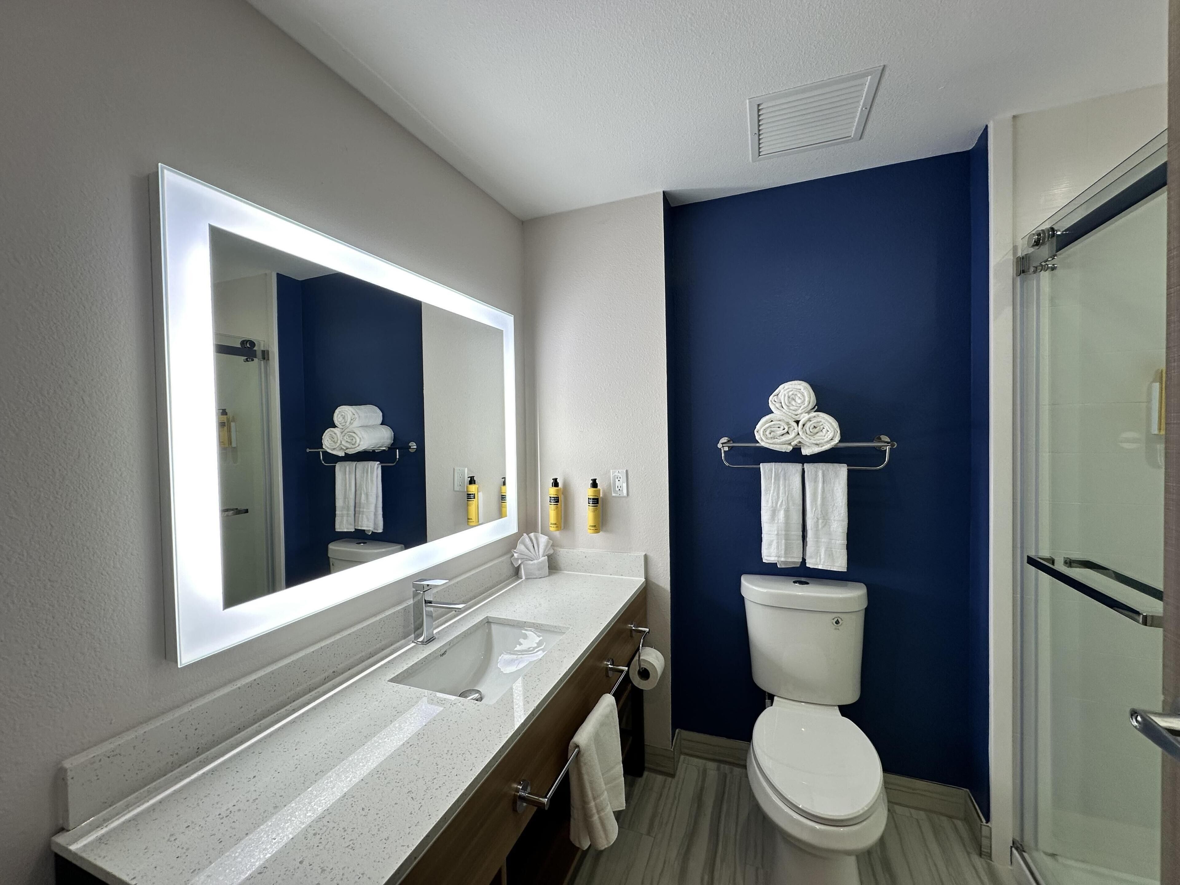 Une salle de bain avec un grand miroir, un lavabo, des toilettes et une douche.