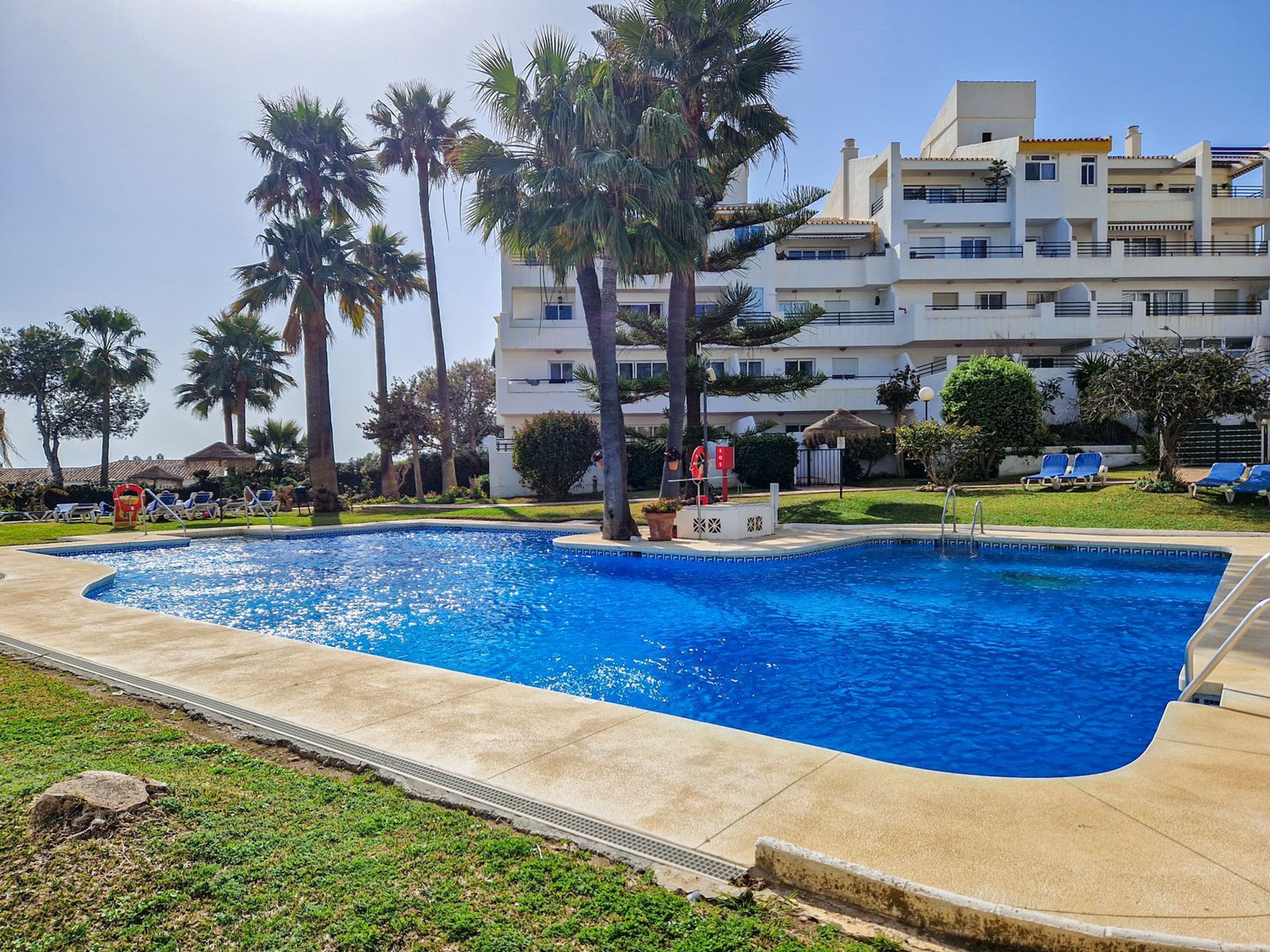 A swimming pool with palm trees, a lifeguard chair, and a building with balconies in the background.