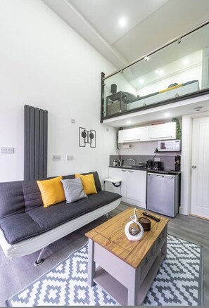 1 habitación 