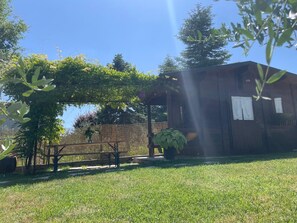 Àrea exterior de l'allotjament