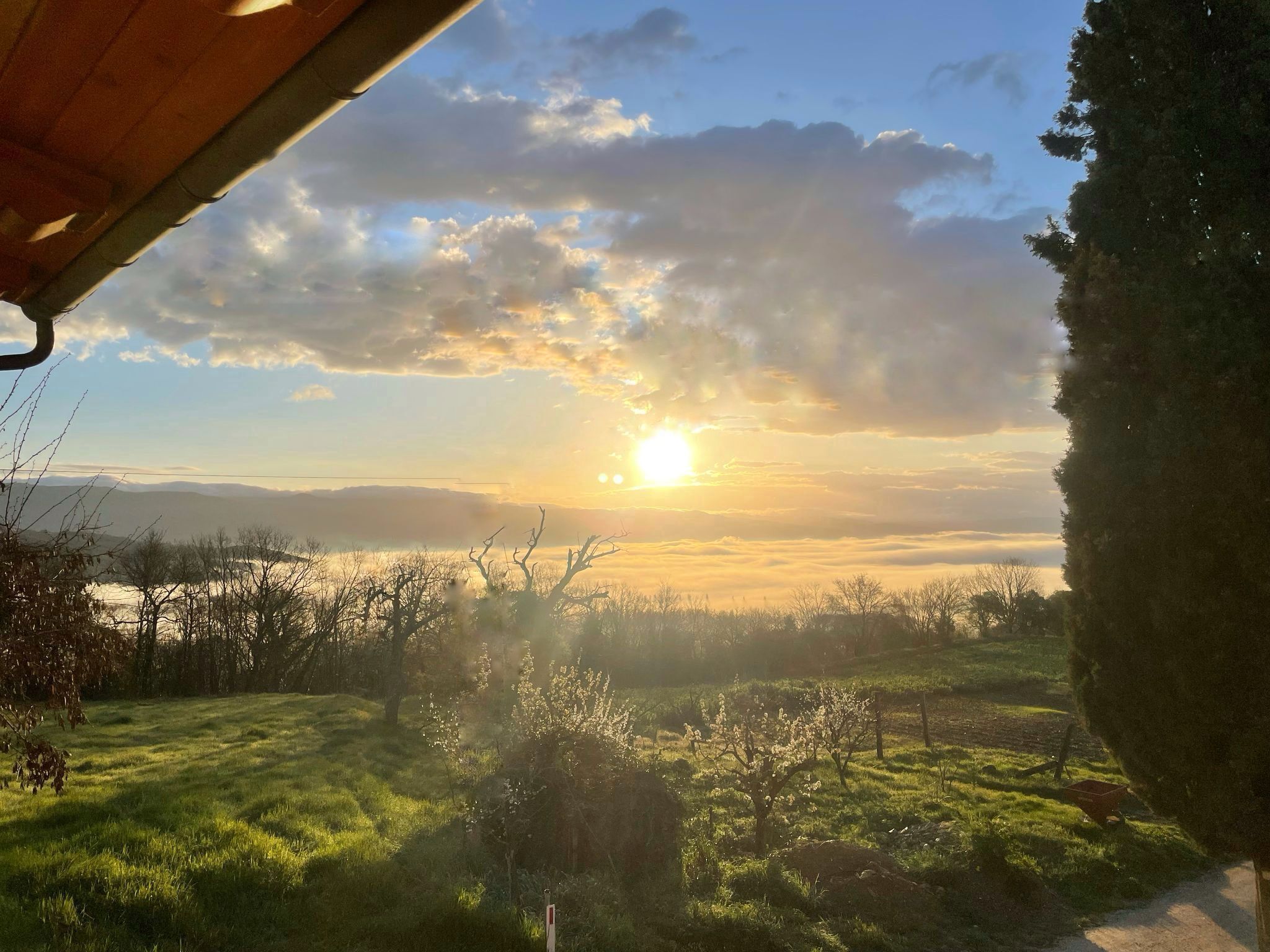 Vista do pôr do sol de uma área externa coberta, com um campo gramado e árvores.