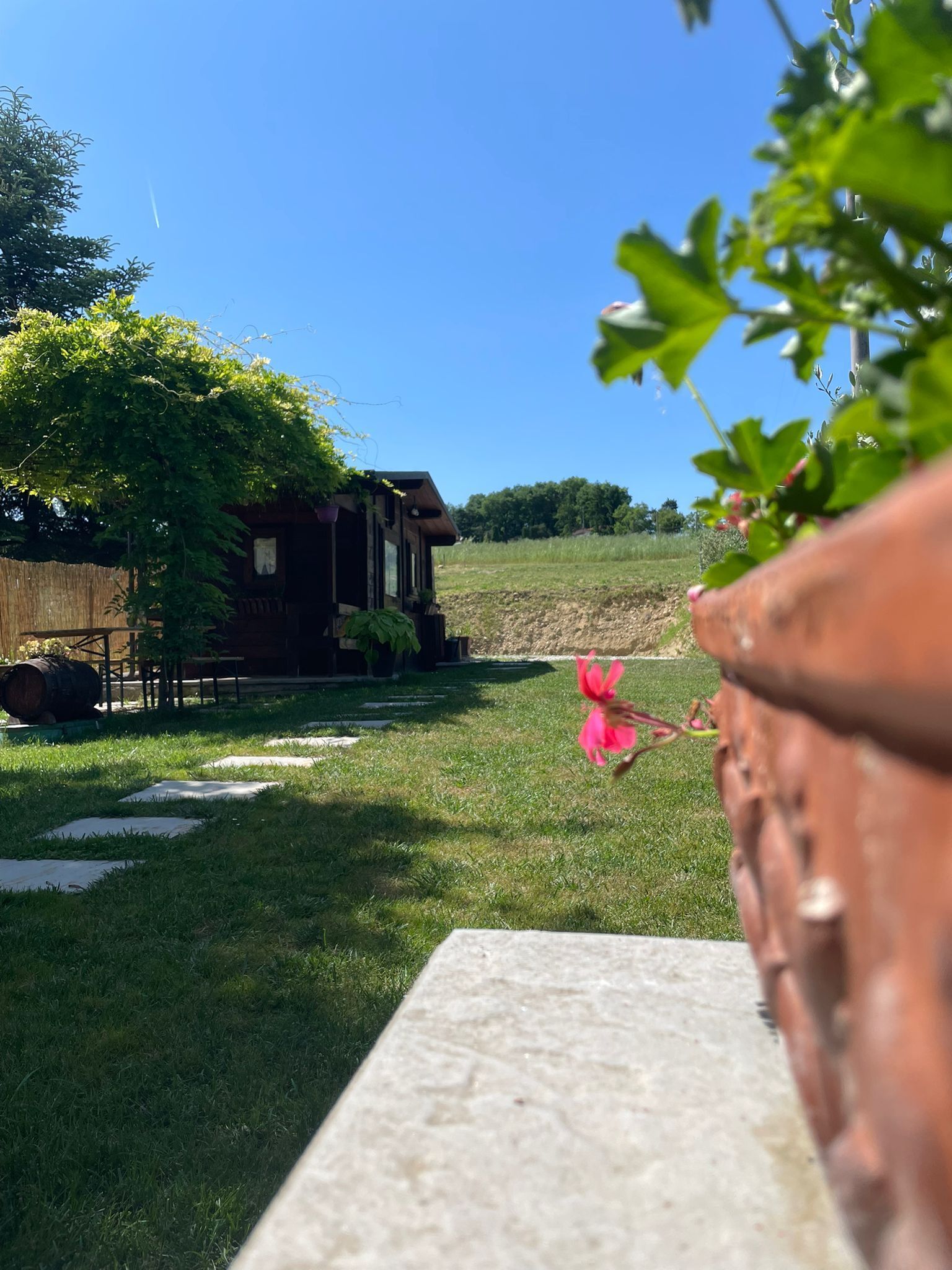 A rustic wooden structure with a garden path leading to it, surrounded by greenery and a clear sky.